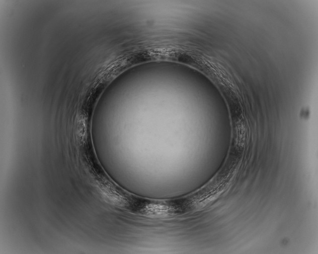 X0000100930699200807011221