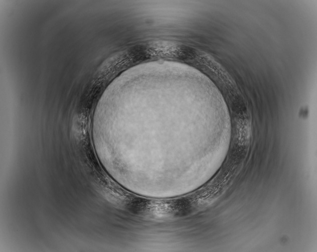 X0000100930701200807011221