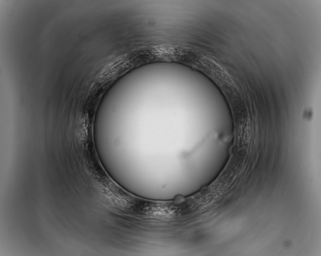 X0000100930702200807011221