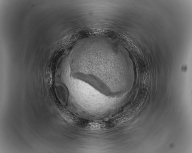 X0000100930703200807011221