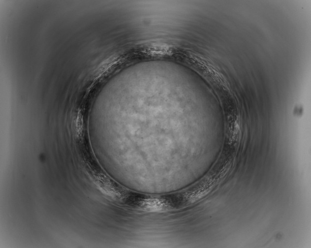 X0000100930704200807011221