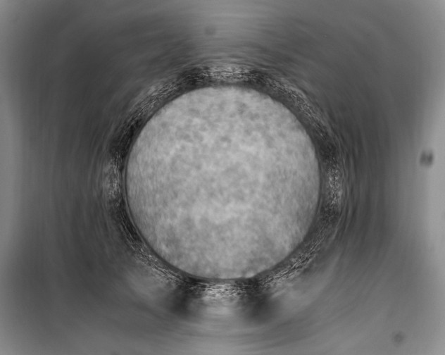 X0000100930705200807011221