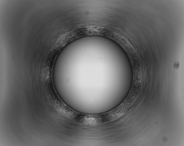 X0000100930706200807011221