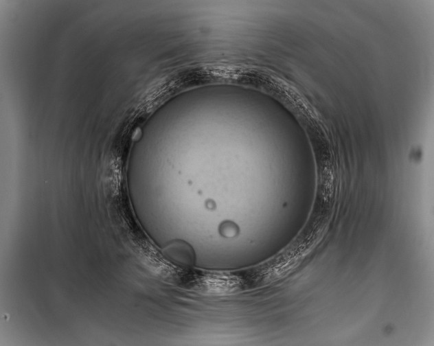 X0000100930707200807011221