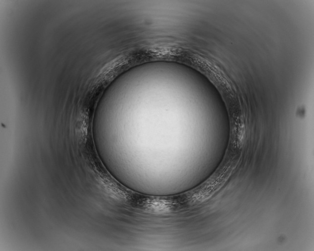 X0000100930710200807011221