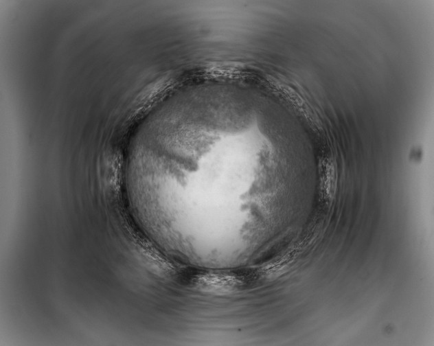 X0000100930712200807011221