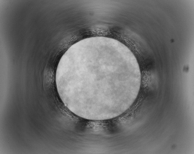 X0000100930713200807011221