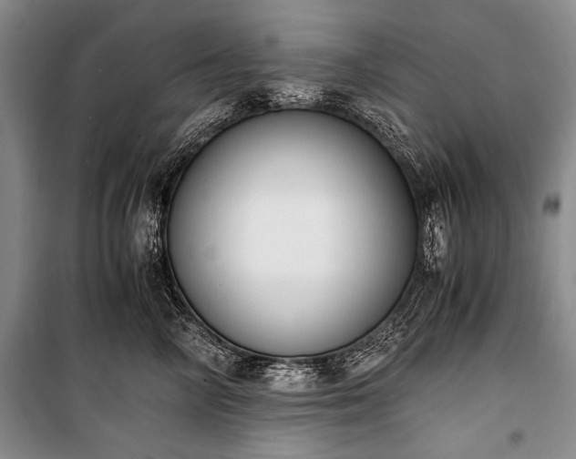 X0000100930714200807011221