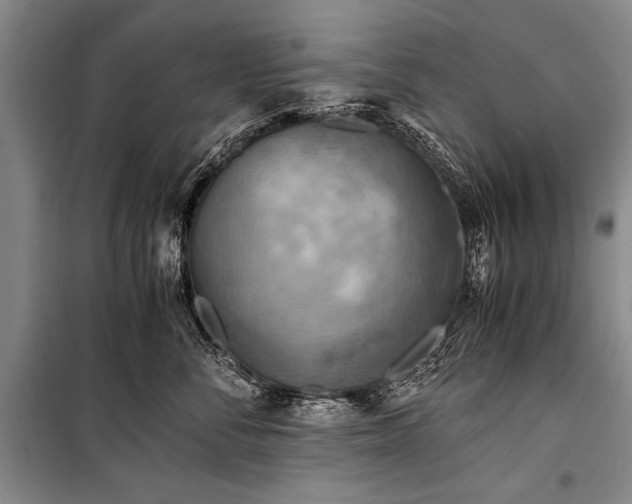 X0000100930716200807011221