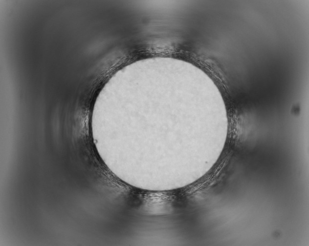 X0000100930717200807011221