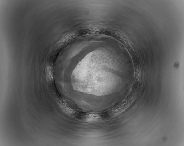 X0000100930719200807011221