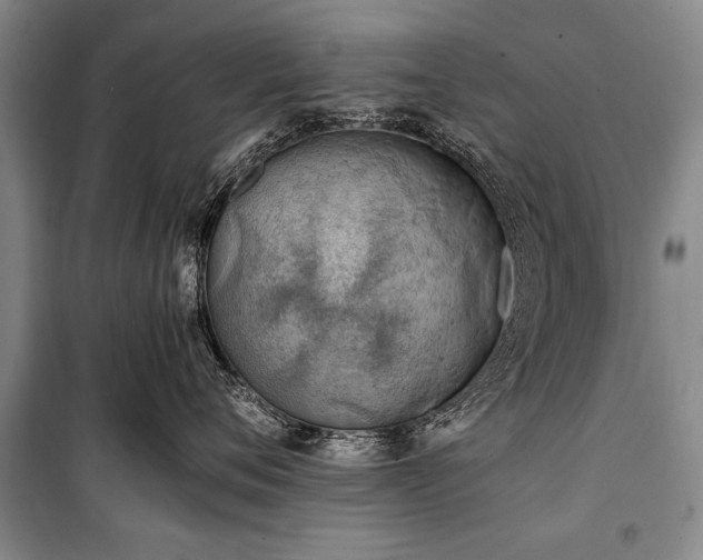 X0000100930720200807011221