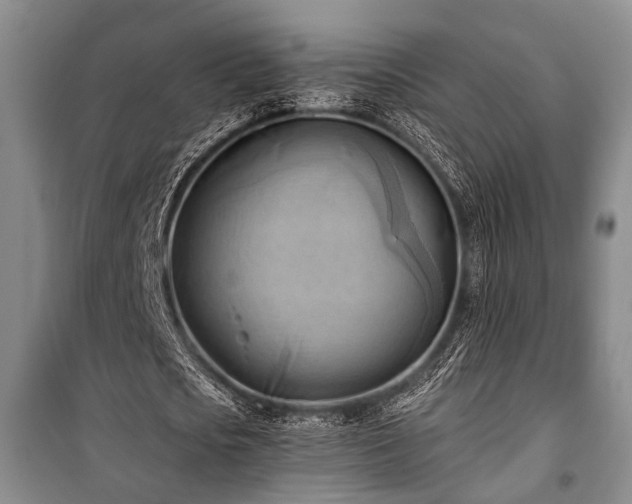 X0000100930721200807011220