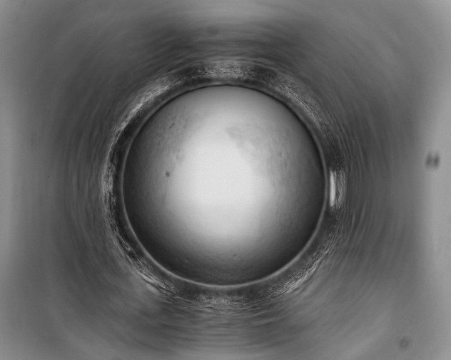 X0000100930723200807011220