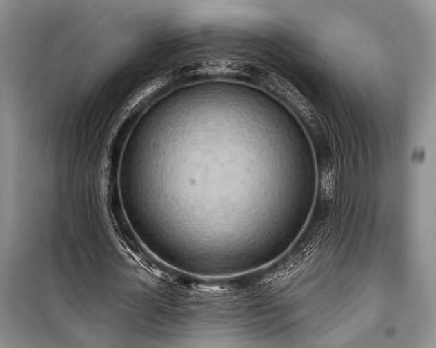 X0000100930724200807011220