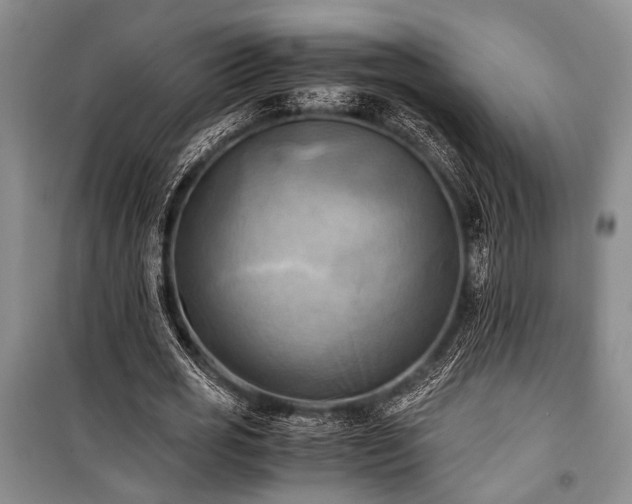 X0000100930725200807011220