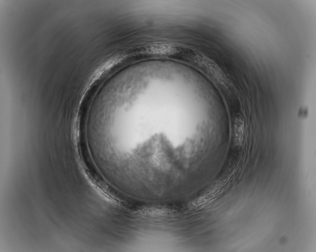 X0000100930726200807011220