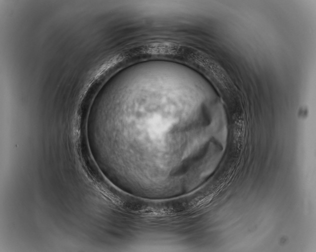 X0000100930727200807011220