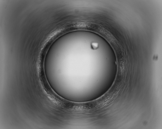 X0000100930728200807011221