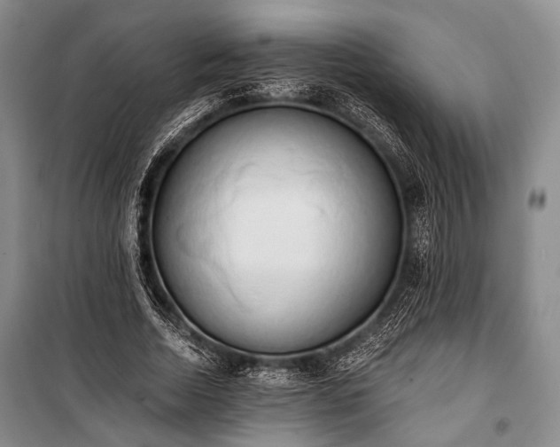 X0000100930730200807011221