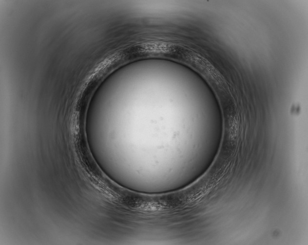 X0000100930731200807011221