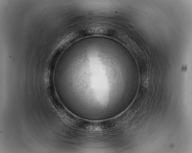 X0000100930735200807011221