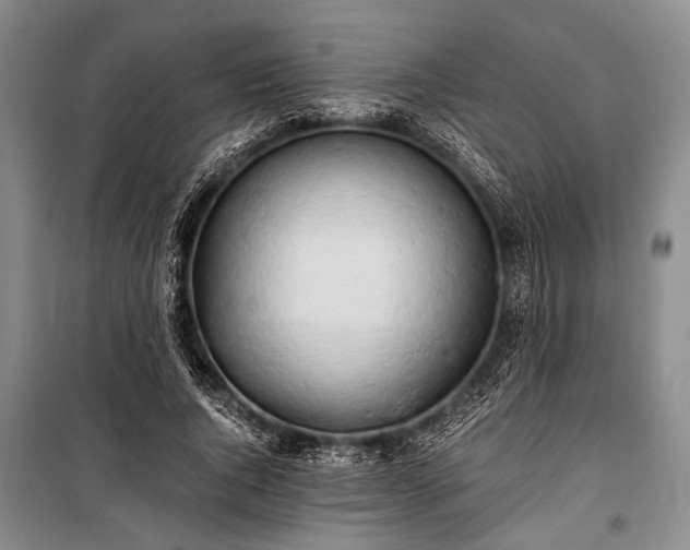 X0000100930736200807011221