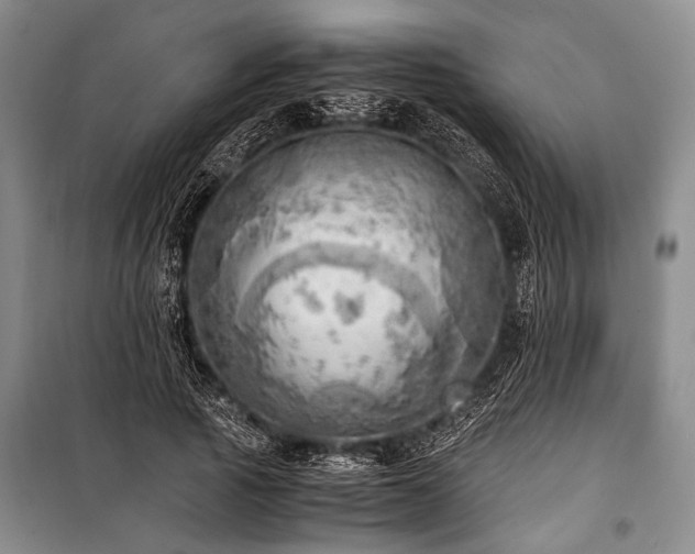 X0000100930737200807011221