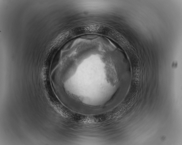 X0000100930738200807011221