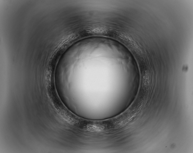 X0000100930739200807011221