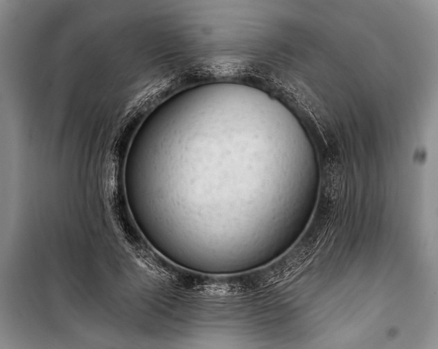 X0000100930740200807011221