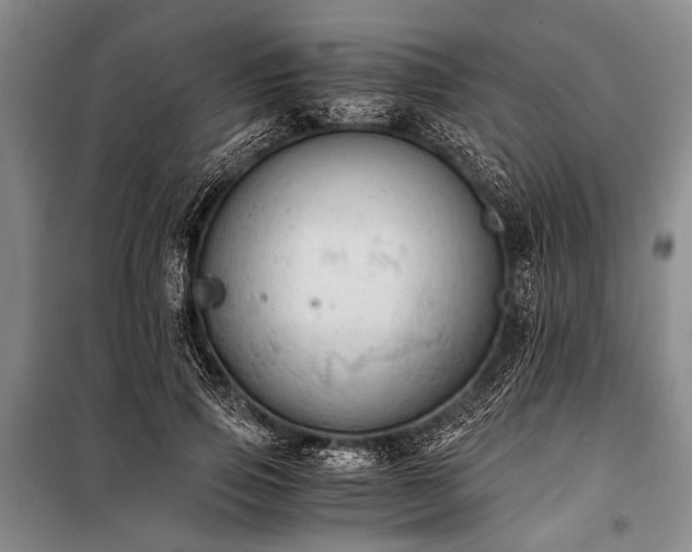 X0000100930741200807011221