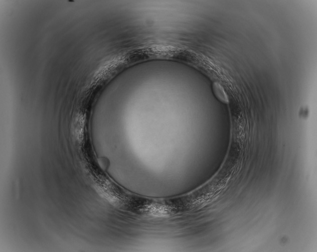 X0000100930742200807011221