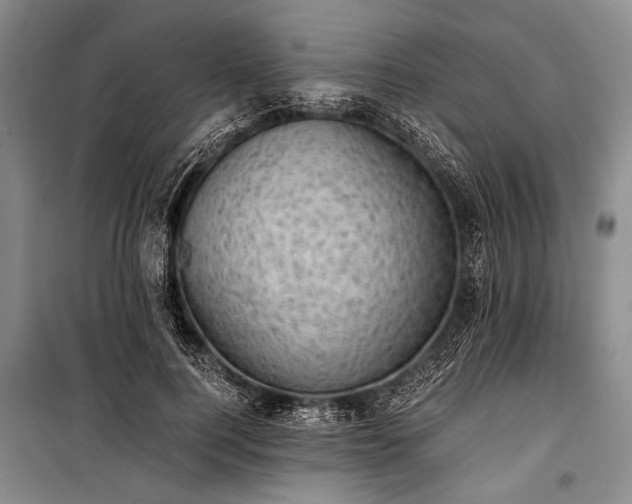 X0000100930744200807011221