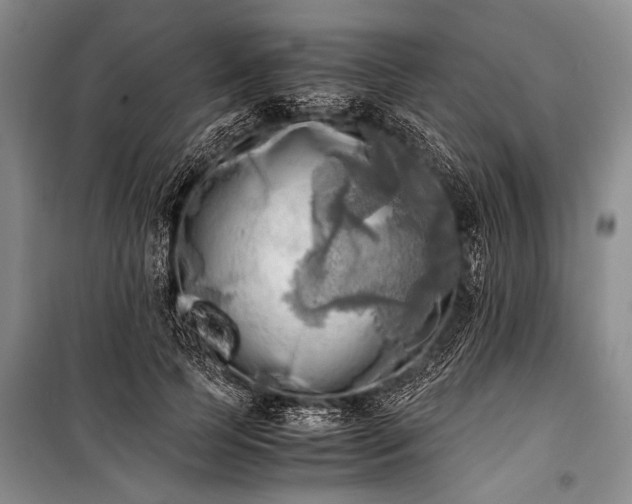 X0000100930745200807011221