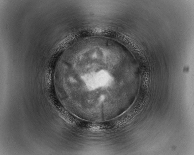 X0000100930746200807011221