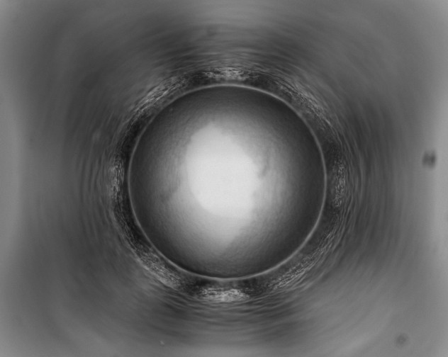 X0000100930747200807011221