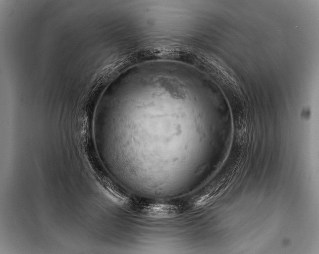 X0000100930748200807011221