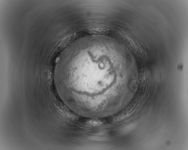 X0000100930749200807011221