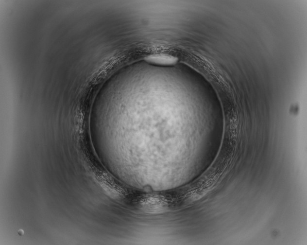 X0000100930750200807011221