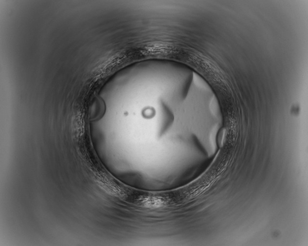 X0000100930751200807011221