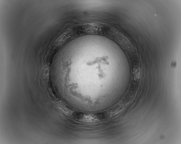 X0000100930753200807011221