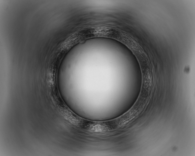 X0000100930755200807011221