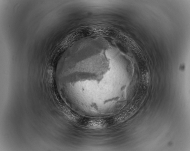 X0000100930757200807011221