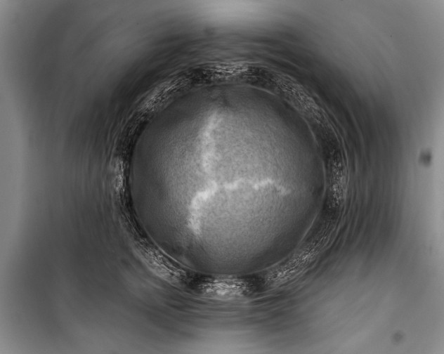 X0000100930758200807011221