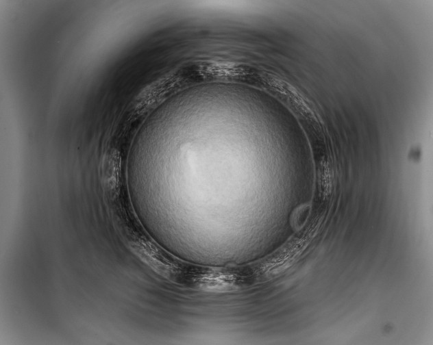 X0000100930760200807011221