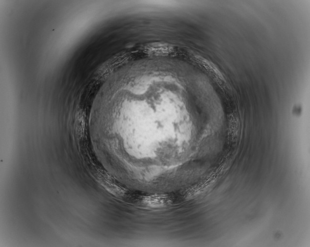 X0000100930761200807011221