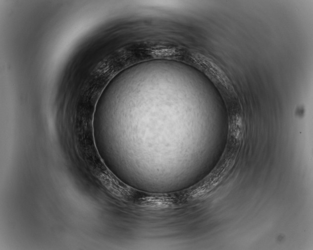 X0000100930763200807011221