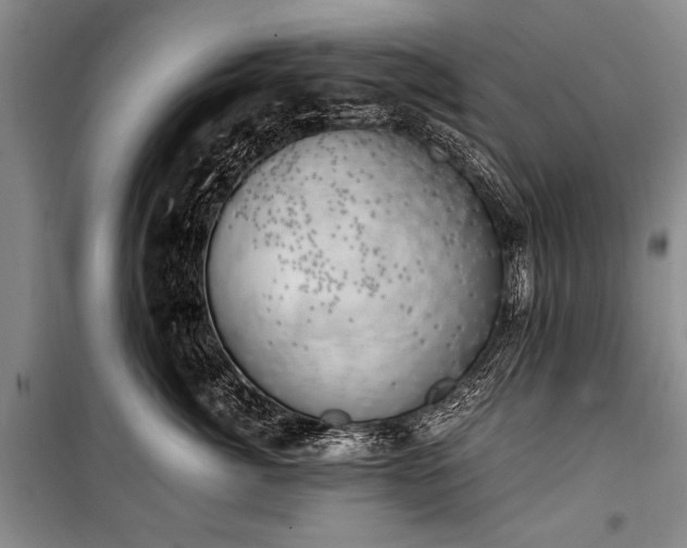 X0000100930764200807011221