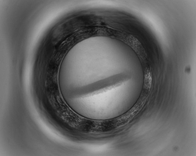 X0000100930765200807011221